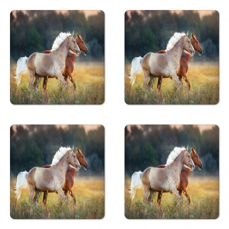 Horses Run Coaster Set Of Four