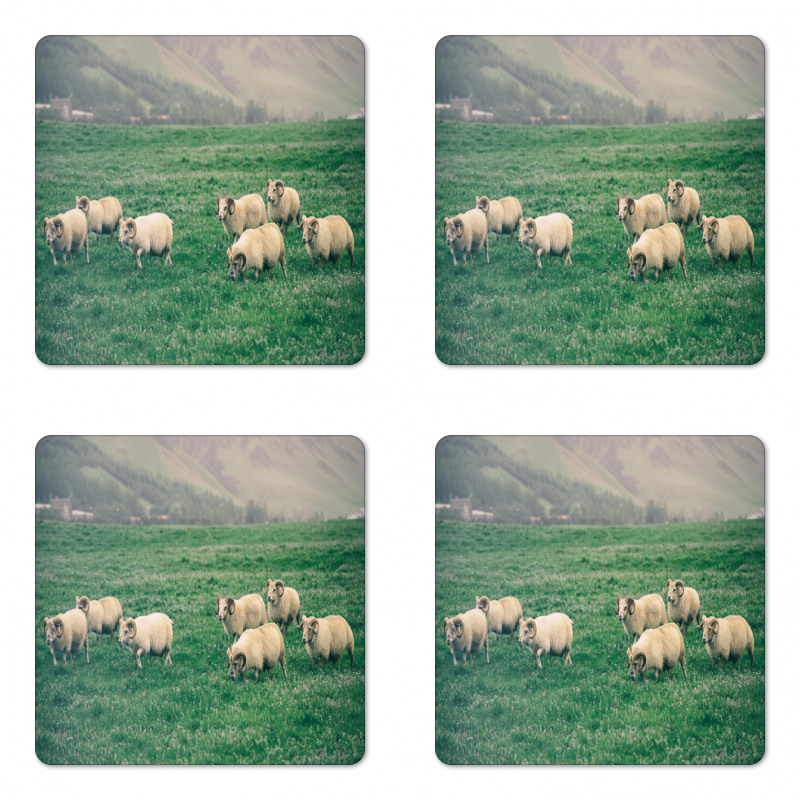 Sheep Grazing on Grass Coaster Set Of Four