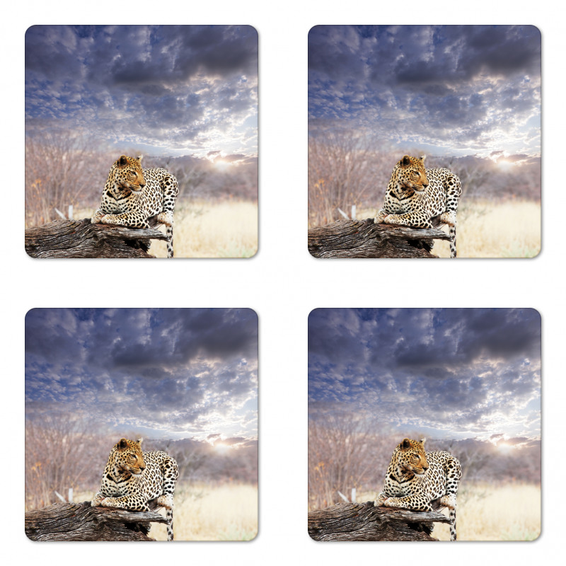 Cloudscape Sunset Scene Coaster Set Of Four