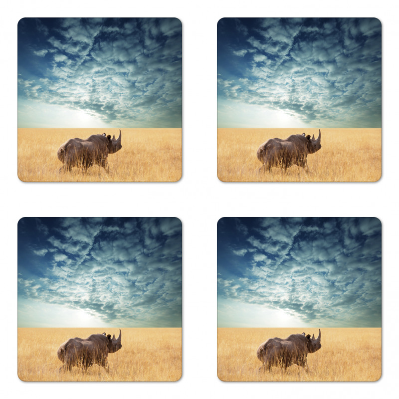 Rhino Dramatic Cloudy Sky Coaster Set Of Four