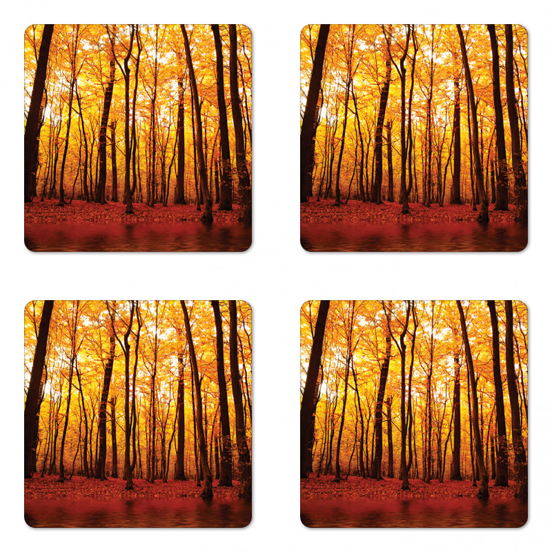 Autumn Forest Trees Coaster Set Of Four