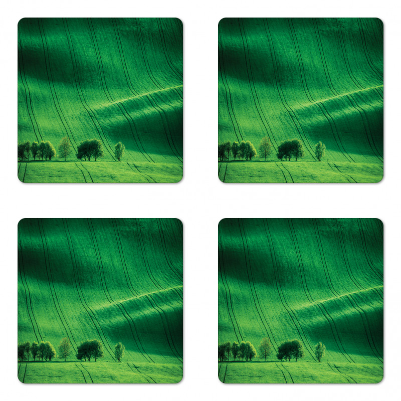 Meadow Fields Hills Coaster Set Of Four