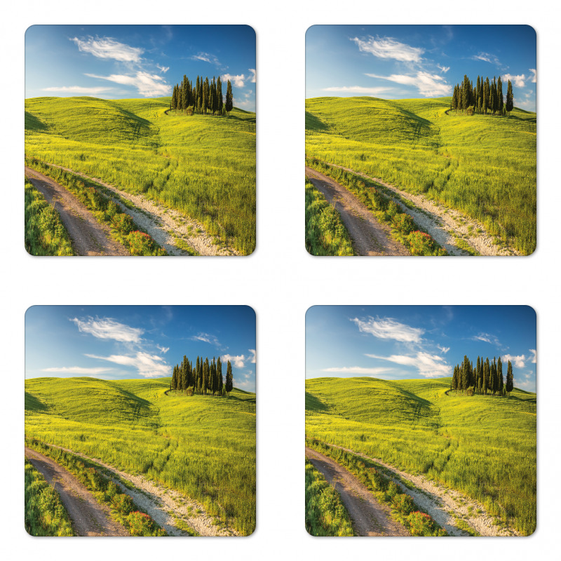 Tuscany Wildflowers View Coaster Set Of Four