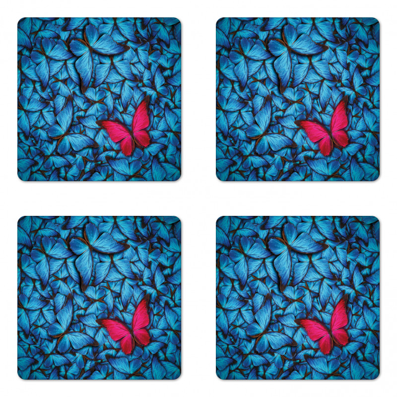 Large Bugs Lepidoptera Coaster Set Of Four