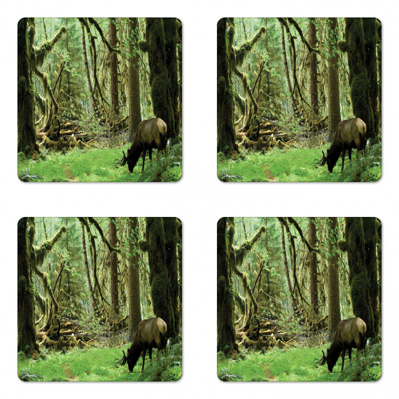 Roosevelt Elk in Park Coaster Set Of Four