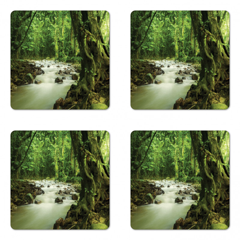 Selangor State Malaysia Coaster Set Of Four