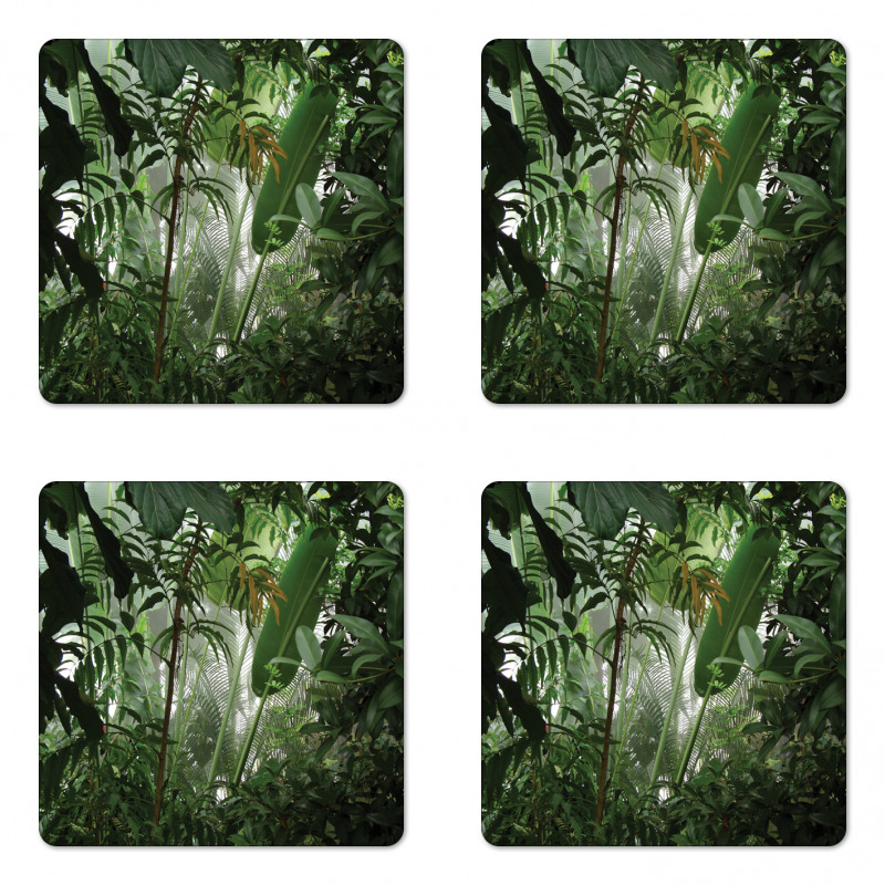 Tropical Rainforest Wild Coaster Set Of Four