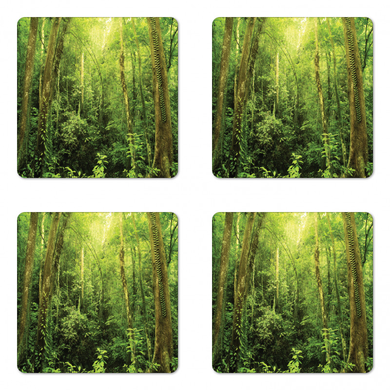 Rainforest Landscape Coaster Set Of Four