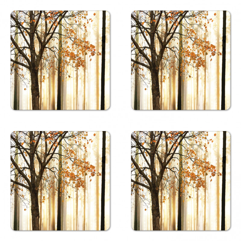 Tree in Abstract Woods Coaster Set Of Four