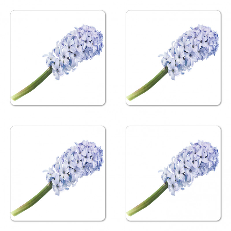 Spring Love Hyacinth Coaster Set Of Four