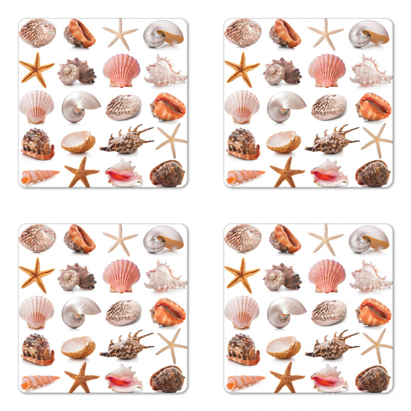 Mollusk Summer Holiday Coaster Set Of Four