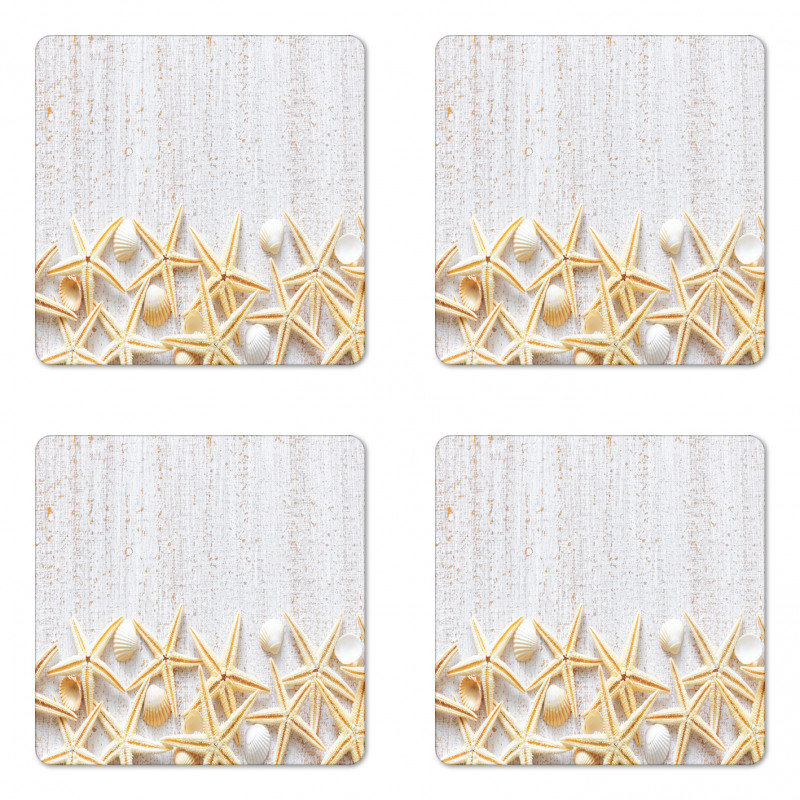 Sea Shells on Timber Coaster Set Of Four