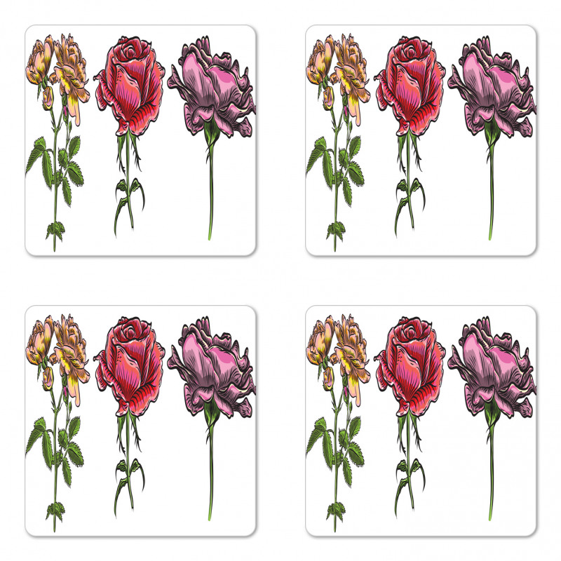 Various Rose Flower Types Coaster Set Of Four