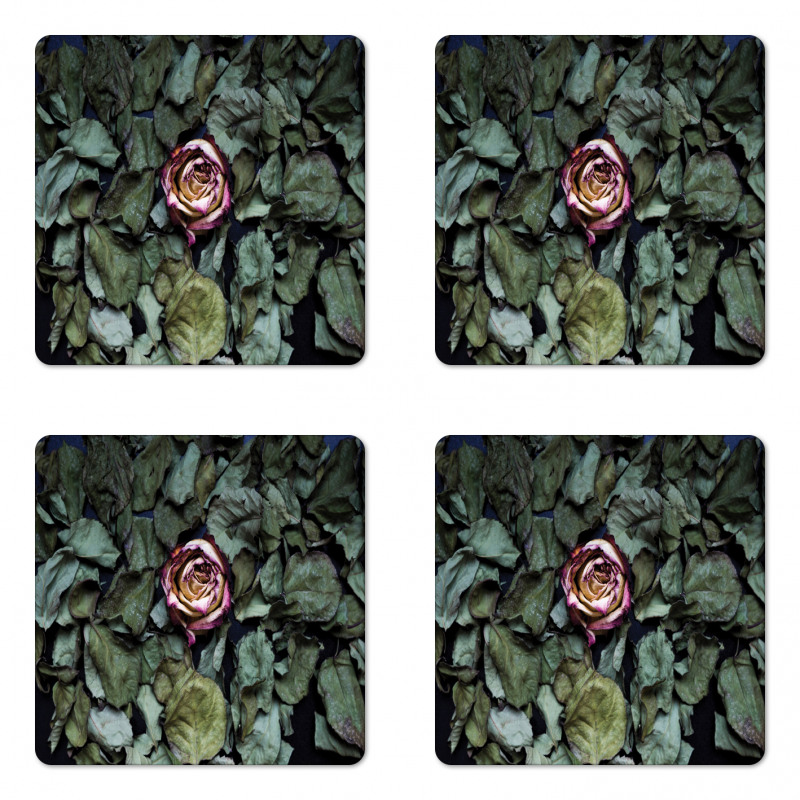 Rose Flower Dry Leaves Coaster Set Of Four