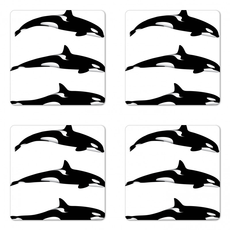 Orca Killer Whales Coaster Set Of Four