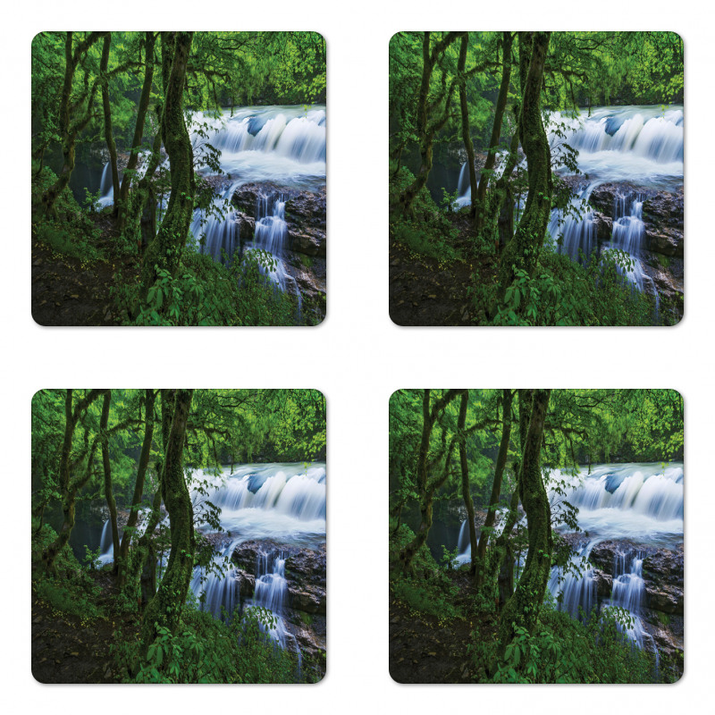 Canyon Woods Scene Coaster Set Of Four