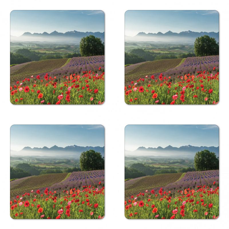 Lavender Farm Morning Coaster Set Of Four