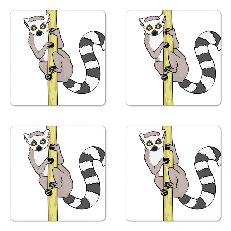 Tropical Ring Tailed Cartoon Coaster Set Of Four