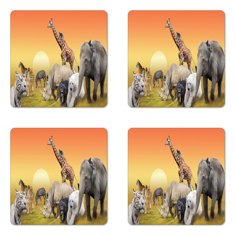 Wildlife Animals at Sunset Coaster Set Of Four