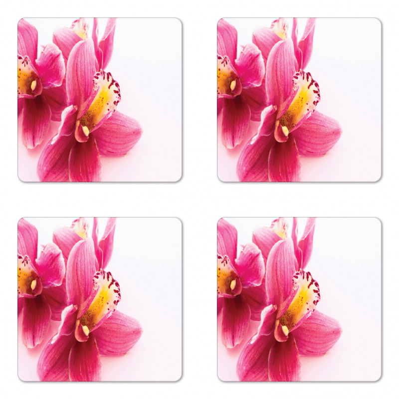 Close up Orchids View Coaster Set Of Four