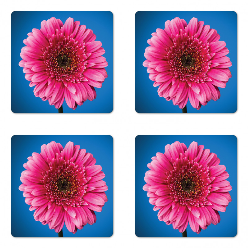 Gerbera Blossom Coaster Set Of Four