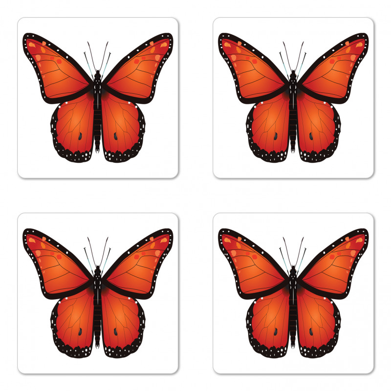 Big Monarch Breed Moth Coaster Set Of Four