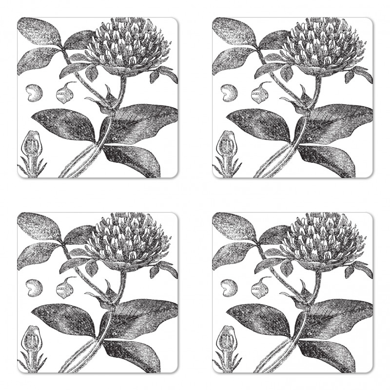 Nostalgic Flower Art Coaster Set Of Four