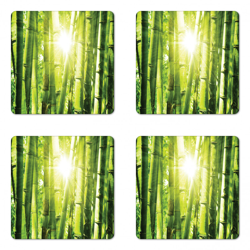 Sun Beams in Wild Jungle Coaster Set Of Four