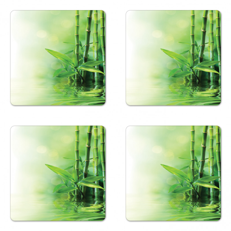 Spa Bamboos Trees Coaster Set Of Four