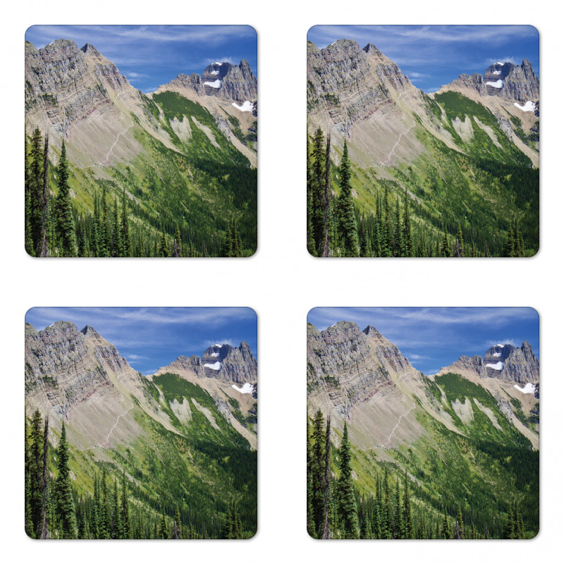 High Mountains and Forest Coaster Set Of Four