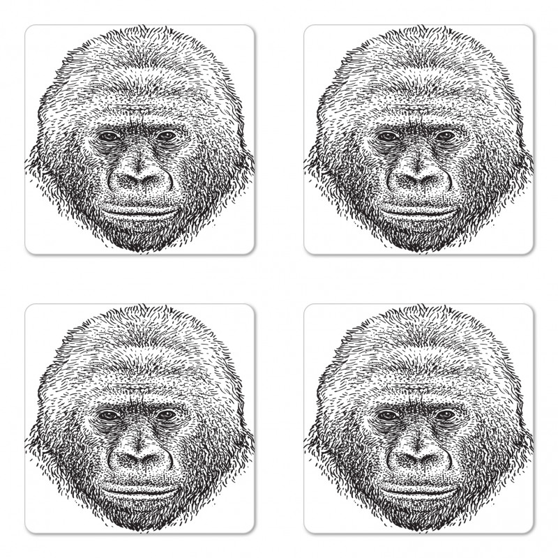 Wild Animal Portrait Coaster Set Of Four