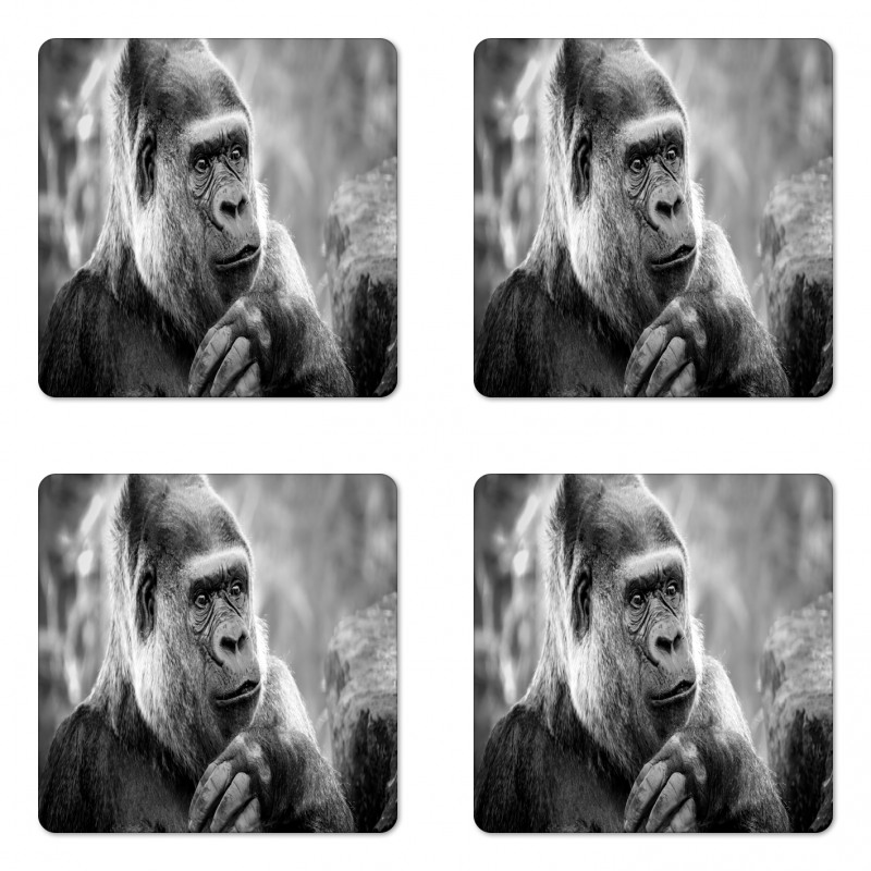 Close up Shot Ape Animal Coaster Set Of Four