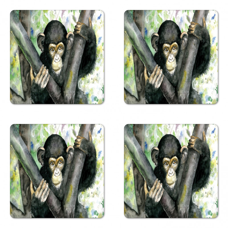 Watercolor Baby Chimpanzee Coaster Set Of Four