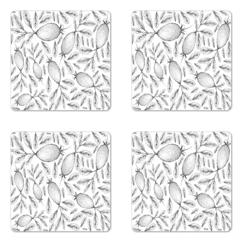 Monochrome Vintage Sketch Coaster Set Of Four