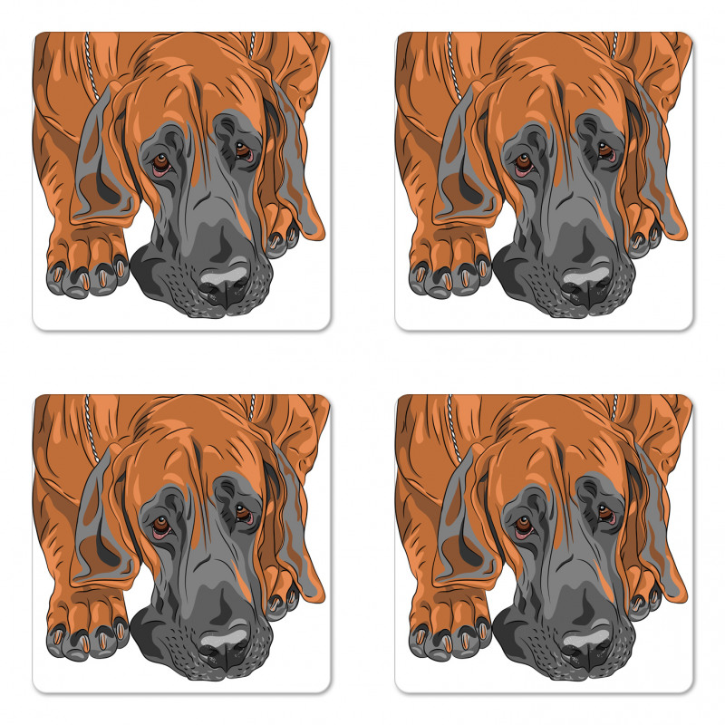 Sad Looking Dog Cartoon Coaster Set Of Four