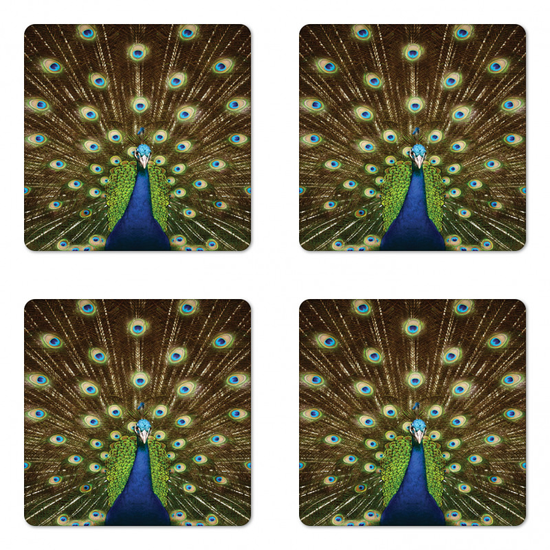 Peacock with Feathers Coaster Set Of Four