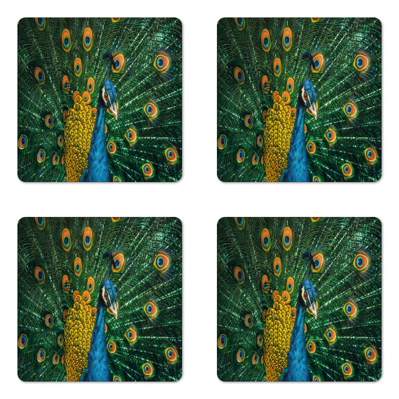 Portrait of the Peacock Coaster Set Of Four