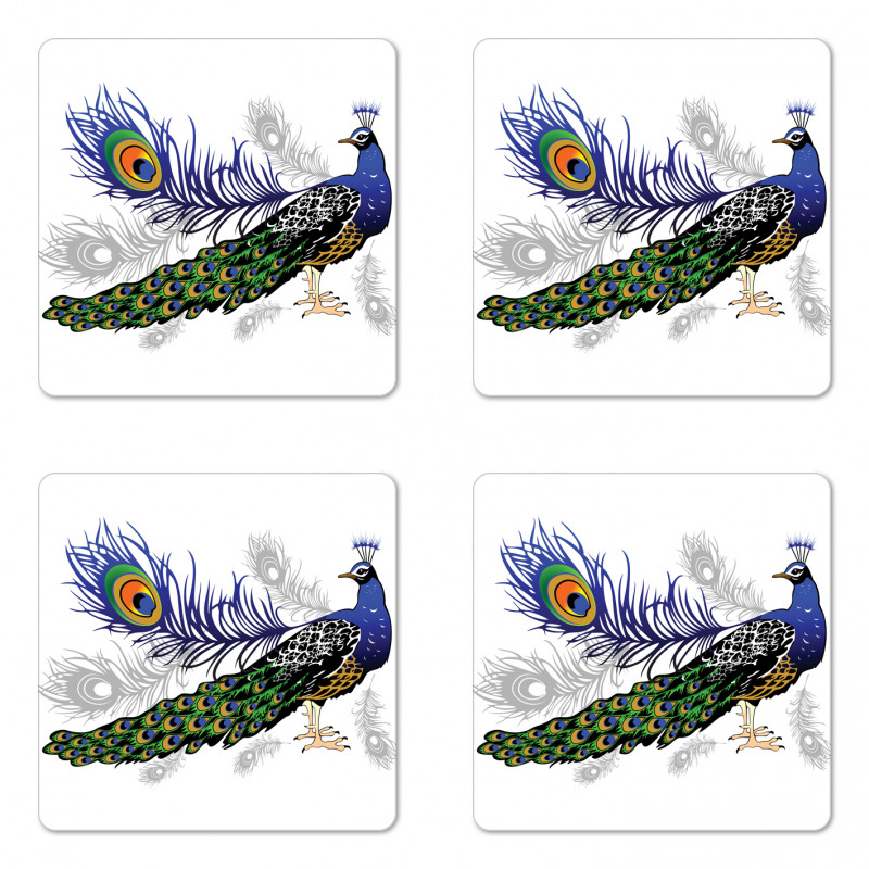 Wild Peacock Feather Coaster Set Of Four