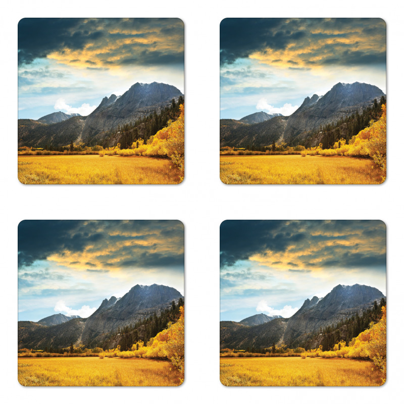 Mountain Grassland Sun Coaster Set Of Four