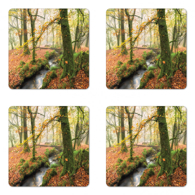 Misty Woods Cornwall Coaster Set Of Four