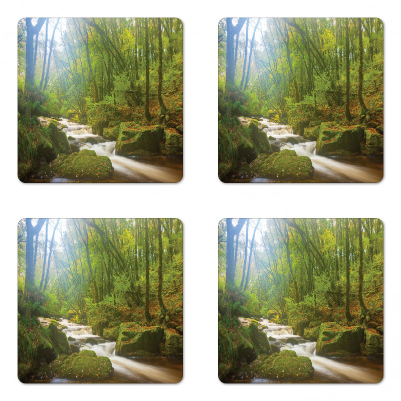 Forest at Golitha Falls Coaster Set Of Four