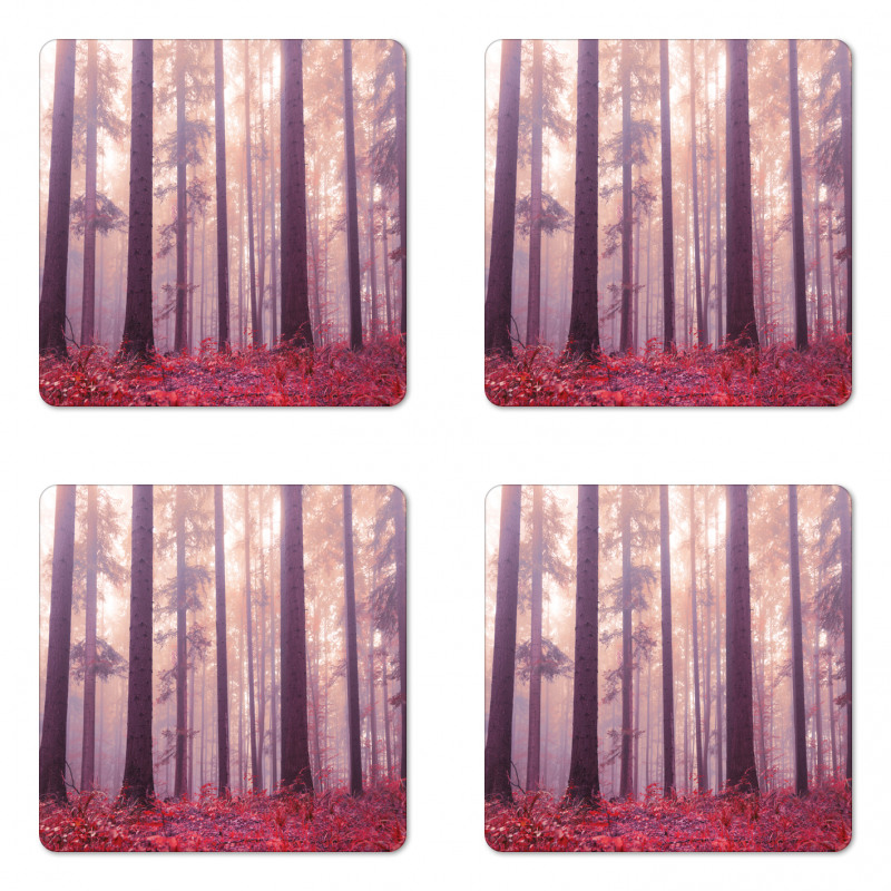 Trees Foggy Sunlight Coaster Set Of Four