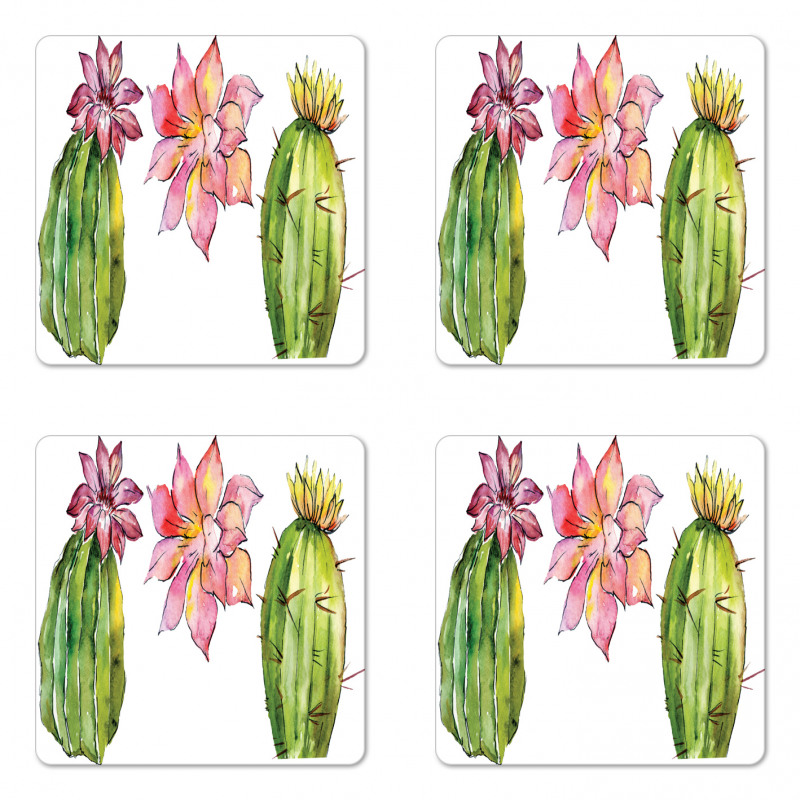 Succulents Coaster Set Of Four