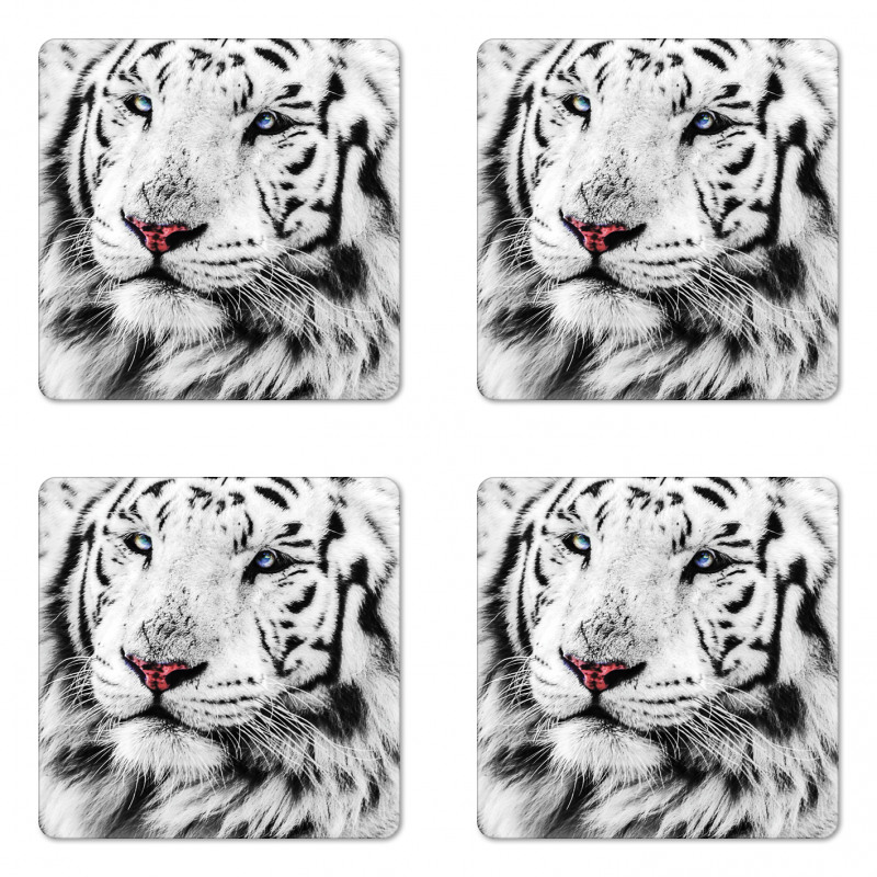 Winter White Tiger Coaster Set Of Four