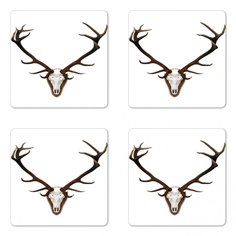 Deer Stag Bones Mounted Coaster Set Of Four