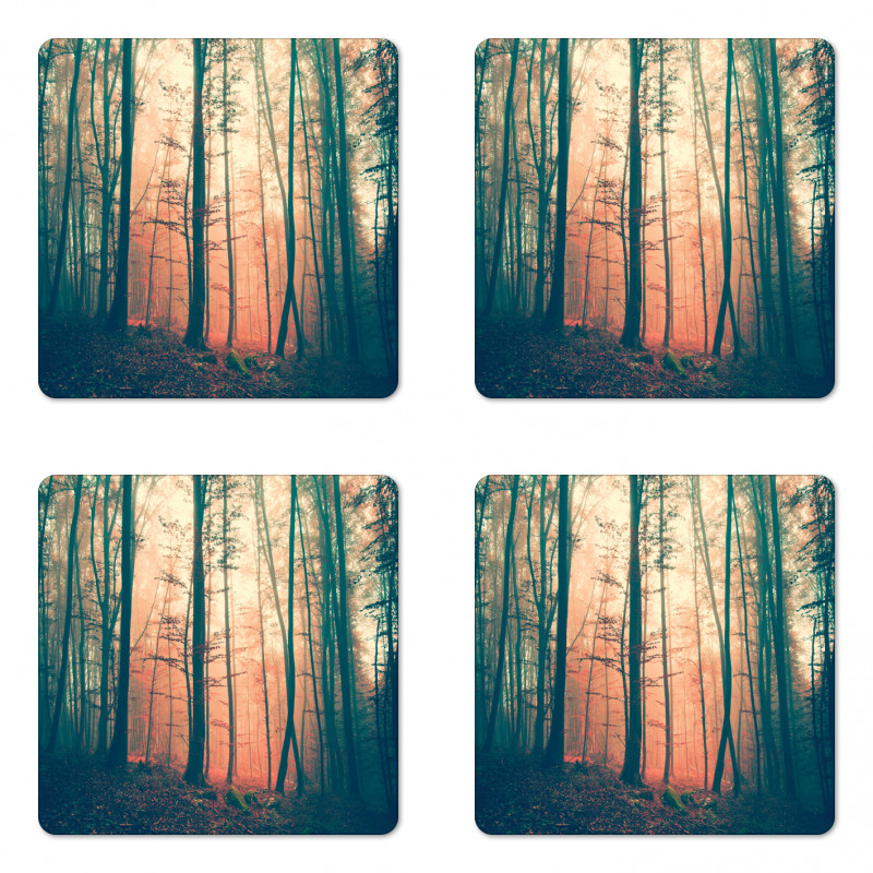 Autumn Forest Woodland Coaster Set Of Four