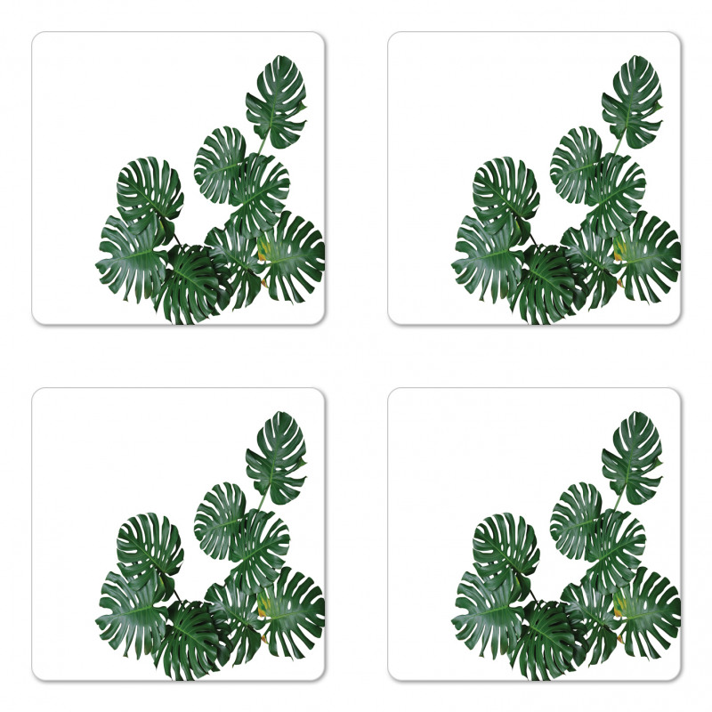 Monstera Deliciosa Coaster Set Of Four