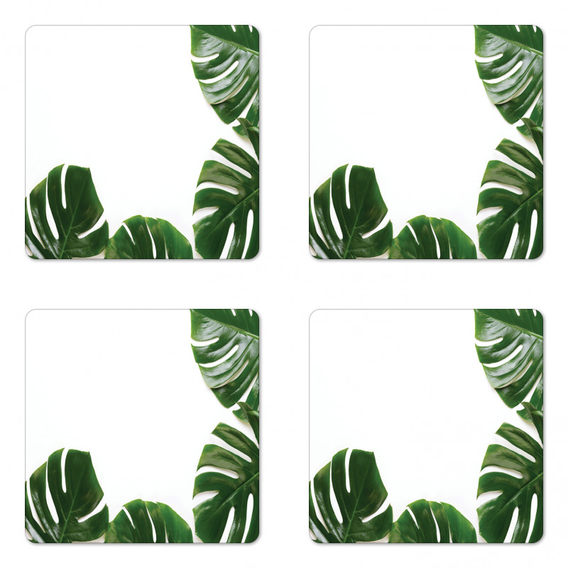 Swiss Cheese Plant Coaster Set Of Four