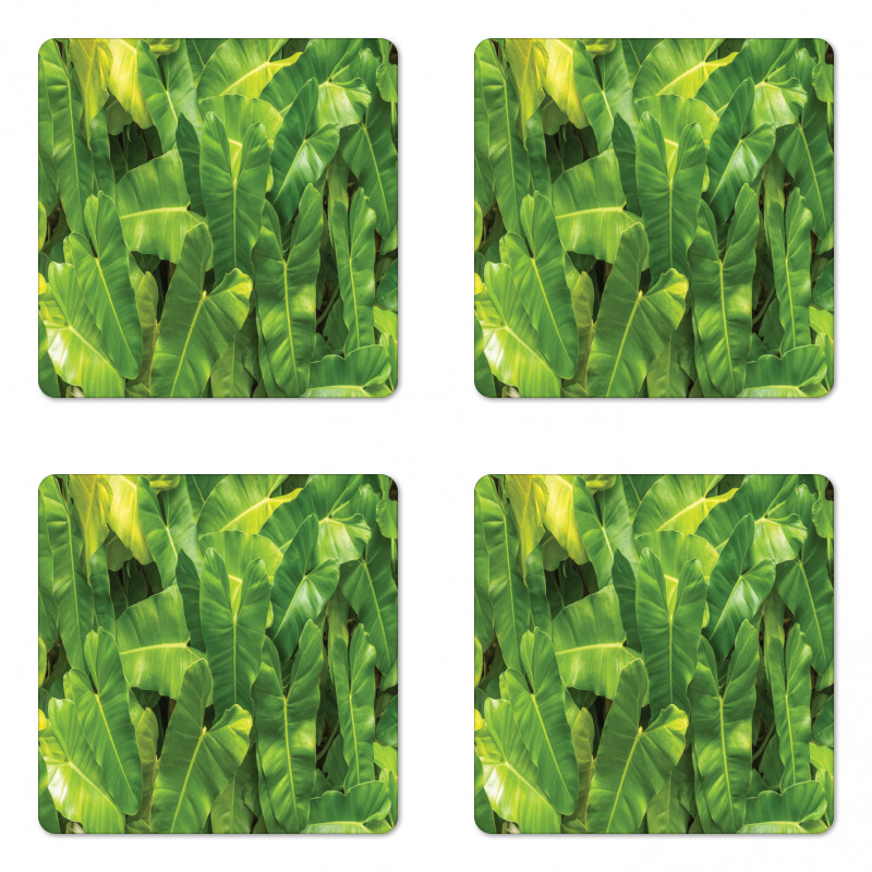 Photo of Tropic Botany Coaster Set Of Four