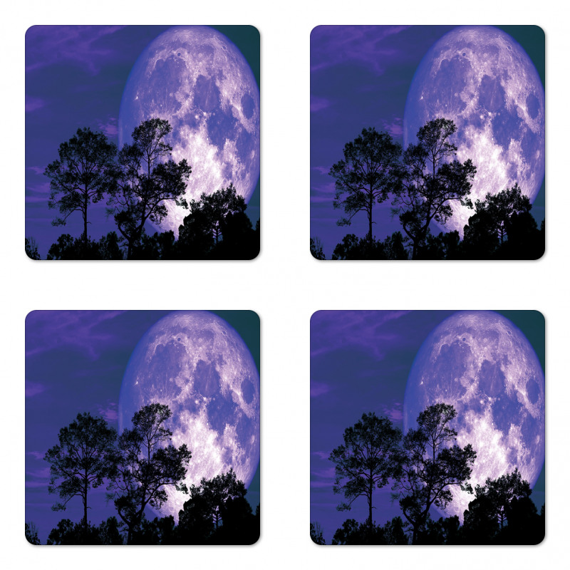 Trees on a Field at Night Coaster Set Of Four